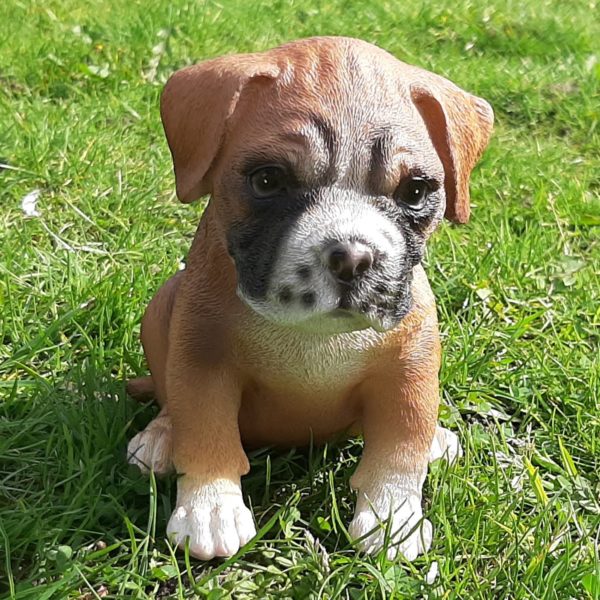 Boxerpup, levensecht beeldje van 15 cm hoog