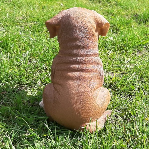 Boxerpup, levensecht beeldje van 15 cm hoog