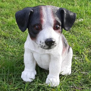 Jack Russell Puppy Beeldje, levensecht, 17 cm 