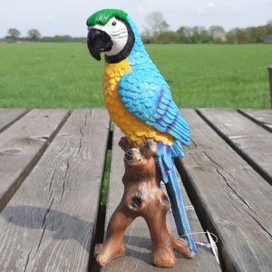 Kleurrijke Geelvleugel Ara Papegaai Beeld