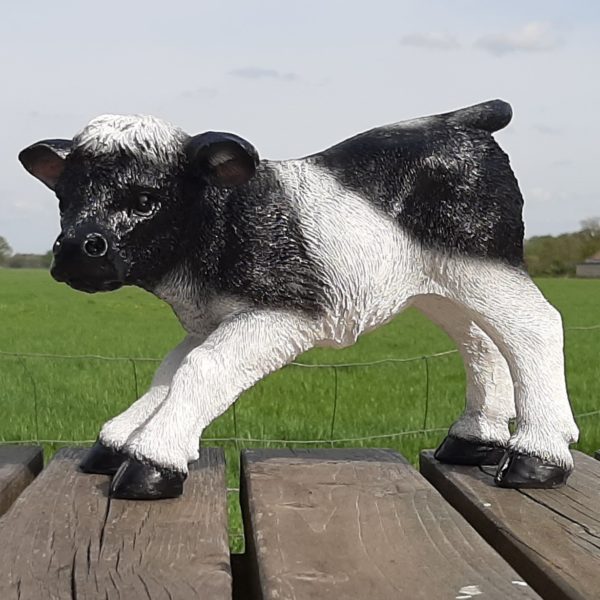 Levendig Kalfje Beeld, 30 cm, voor Binnen en Buiten