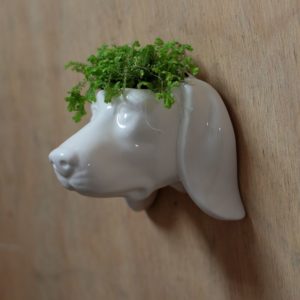 hangende plantenbak in de vorm van een hondenkop