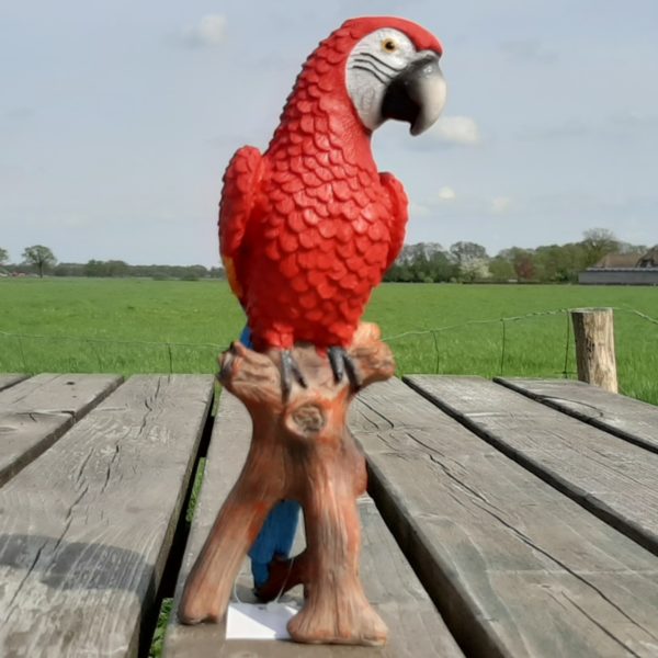 Prachtig Beeldje van Geelvleugel Ara Papegaai