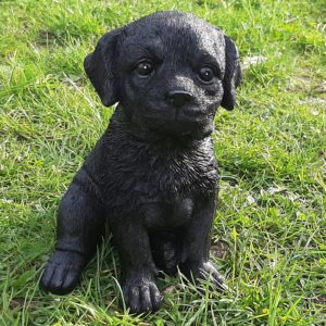 Puppy Labrador Retriever zwart, levensecht beeldje 15cm hoog