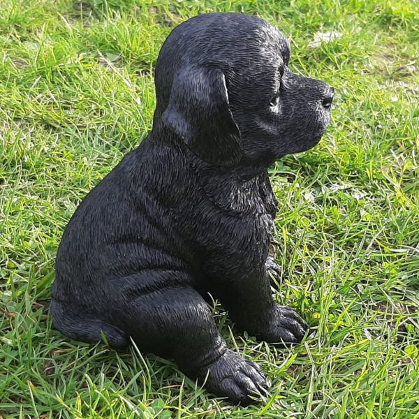 Puppy Labrador Retriever zwart, levensecht beeldje 15cm hoog