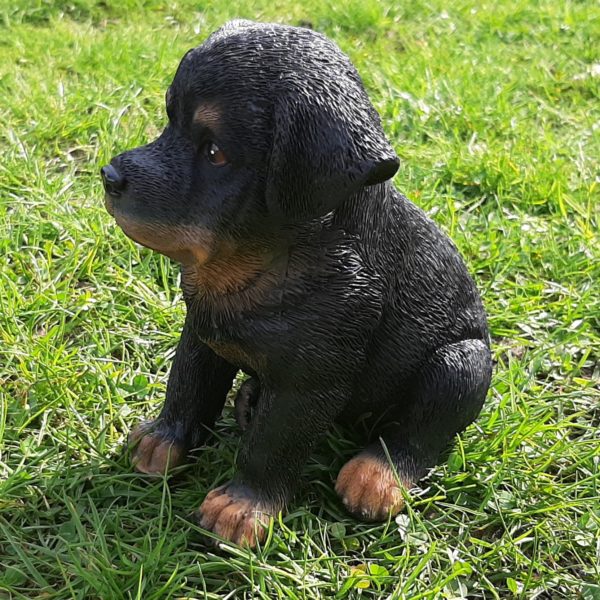 Rottweiler Pup, beeldje voor binnen en buiten, 15 cm