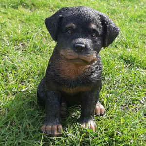 Rottweiler Pup, beeldje voor binnen en buiten, 15 cm