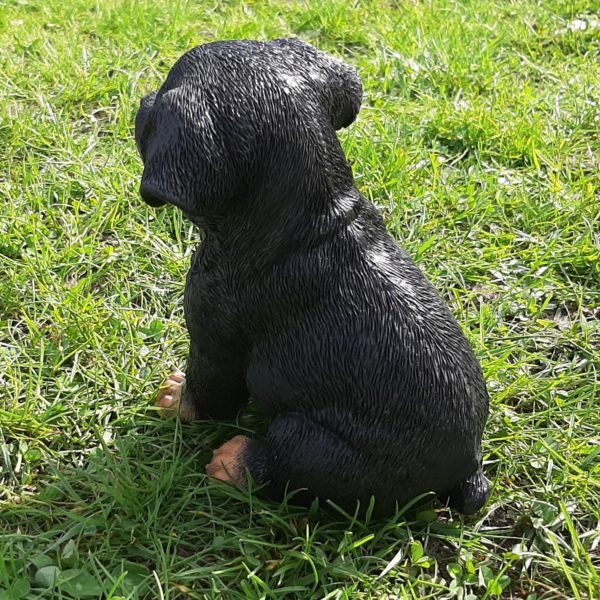 Rottweiler Pup, beeldje voor binnen en buiten, 15 cm
