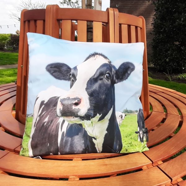 Tuinkussen met zwarte bonte koe - 45x45 cm