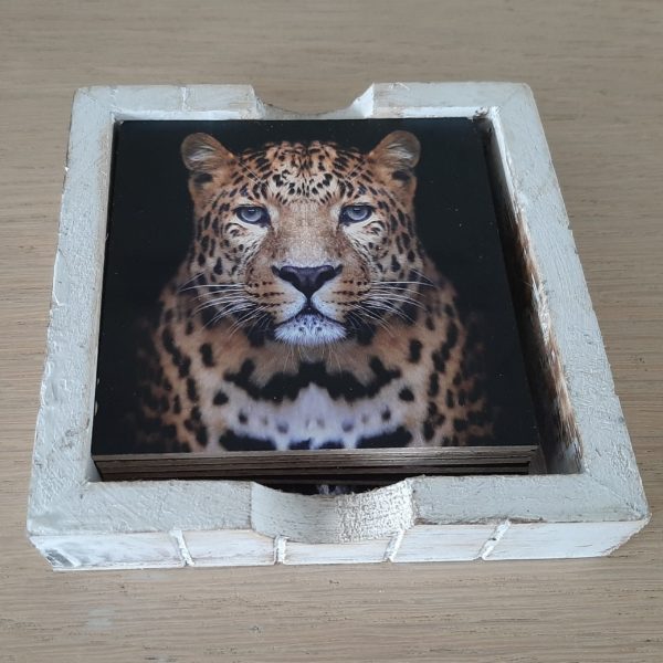 onderzetters wilde dieren