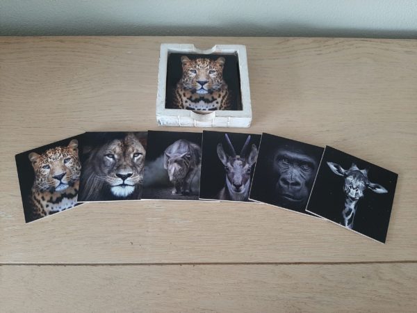 onderzetters wilde dieren