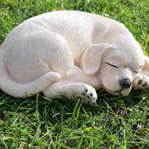 beeldje blonde rabrador retriever liggend 20 cm breed
