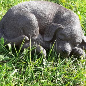 beeldje bruine rabrador retriever liggend 20 cm breed (copy)