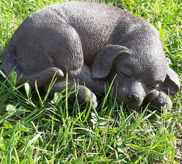 beeldje bruine rabrador retriever liggend 20 cm breed (copy)