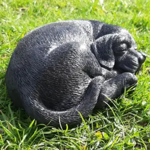 beeldje zwarte rabrador retriever liggend 20 cm breed